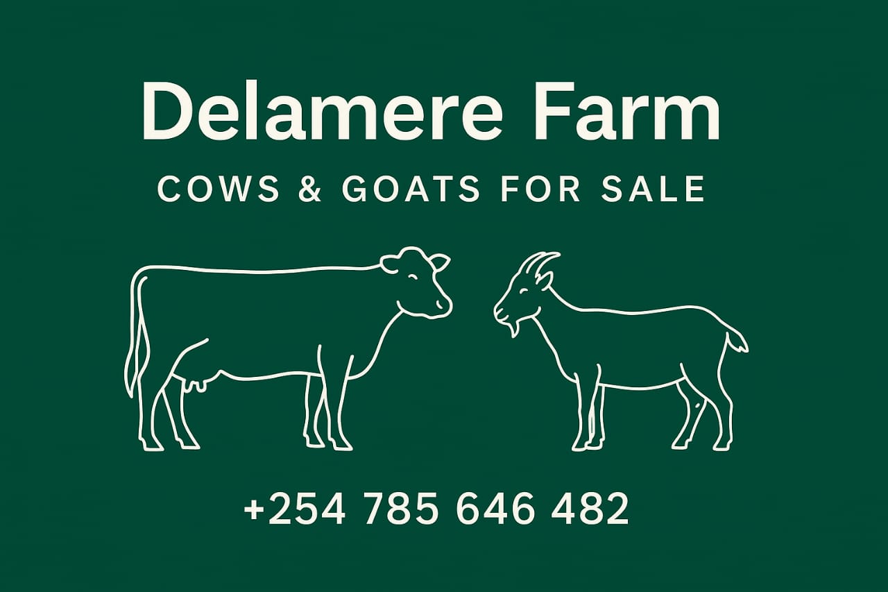 Delamere Farm Logo